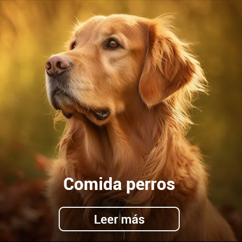 Maquinaria de comida para perros