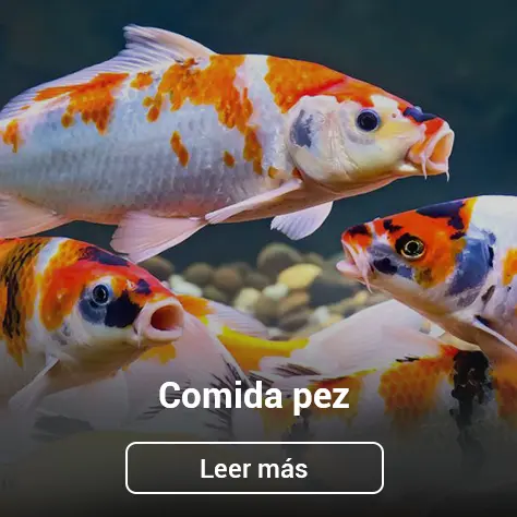 Maquinaria de alimentación para peces